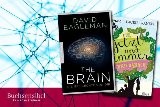 thebrain-fuerjetztundimmer