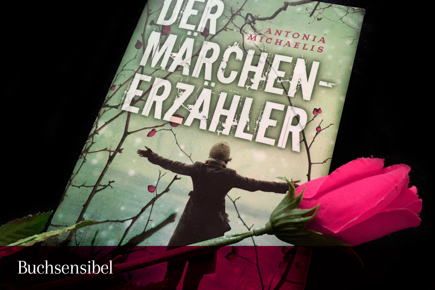 der-maerchenerzaehler2