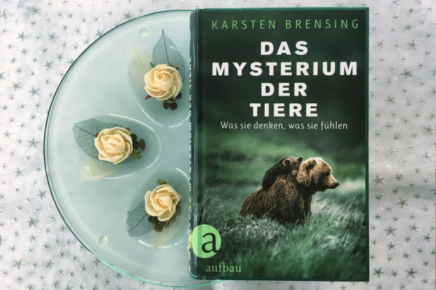 mysterium-der-tiere