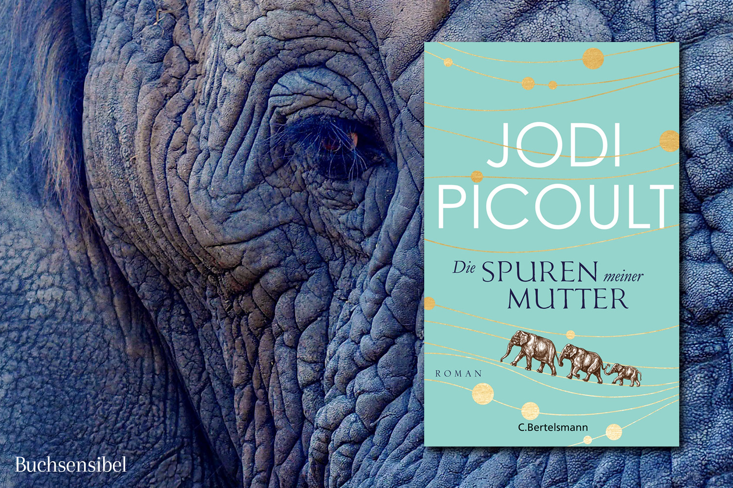 spuren-meiner-mutter