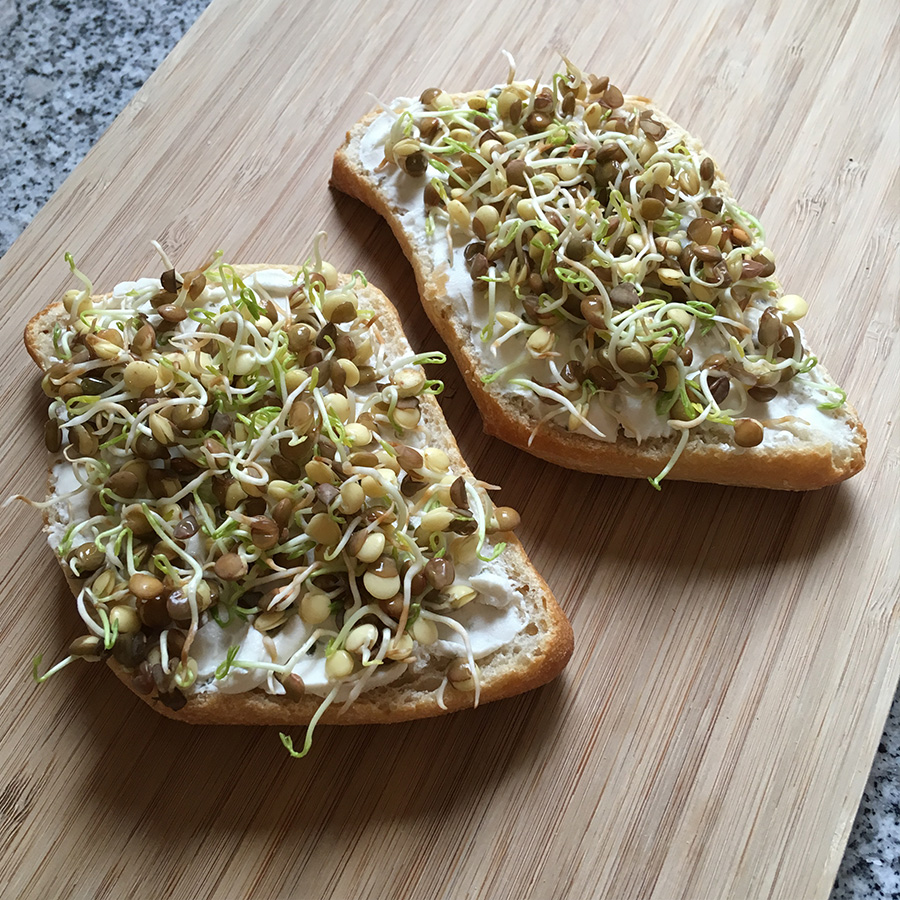 sprossen
