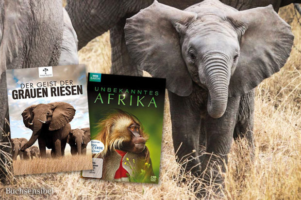 geist-der-grauen-riesen