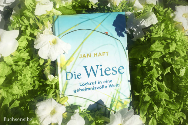 die-wiese-jan-haft